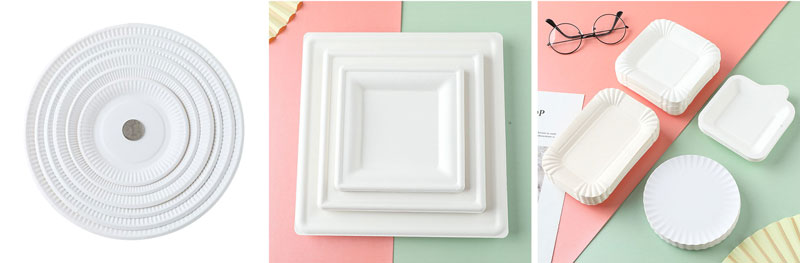Paper plate  sample